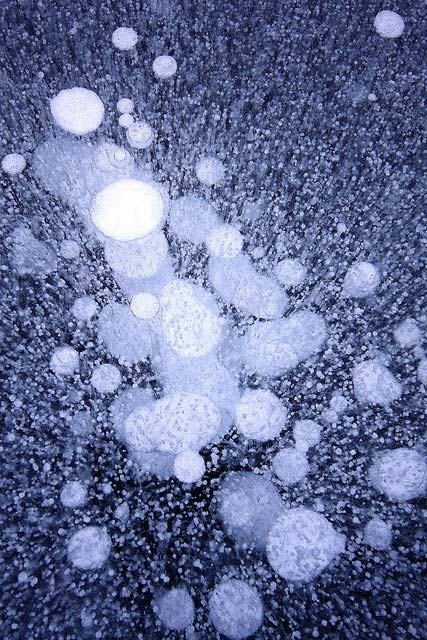 Frozen Bubbles on Unspecified Alaskan Lake