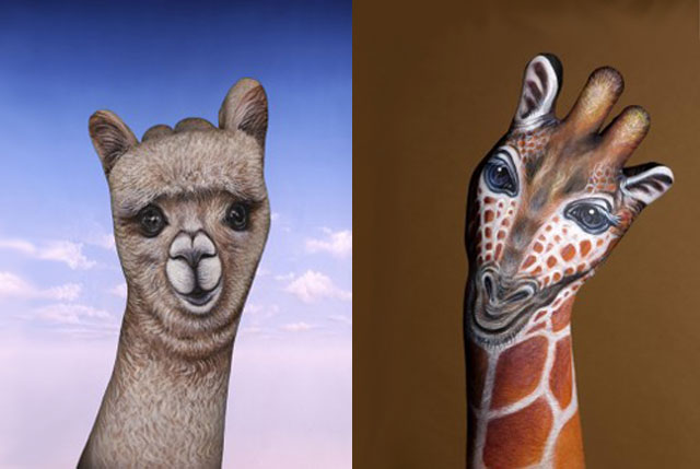 Alpaca and Giraffe