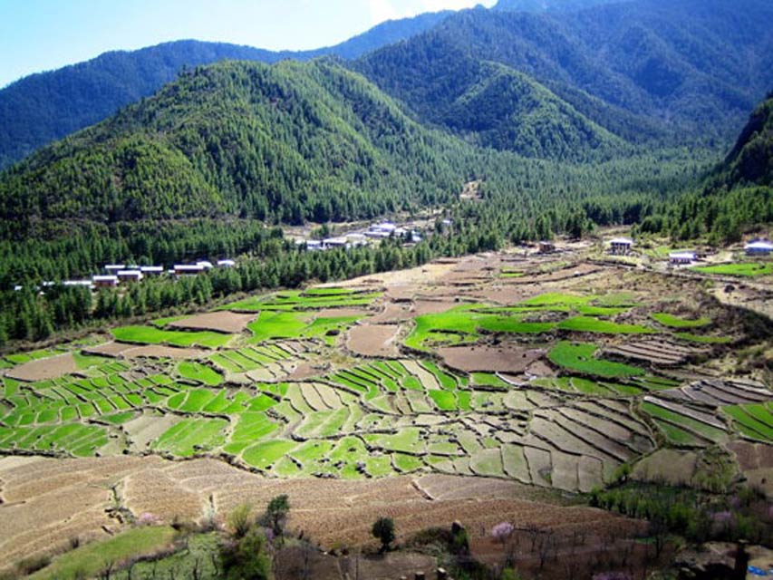 Typical Bhutanese Village and Fields