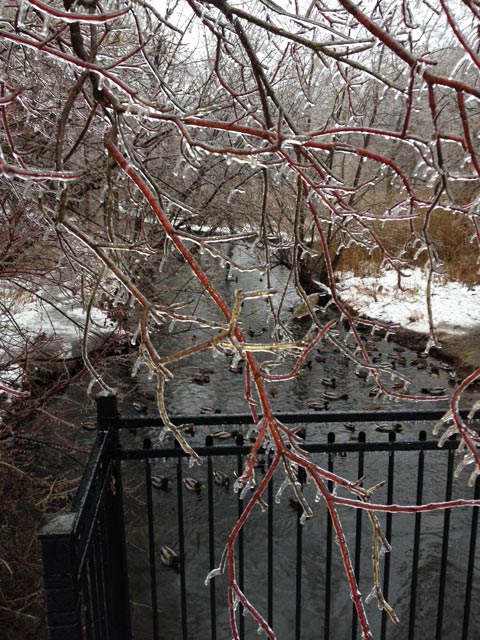 Toronto under Ice