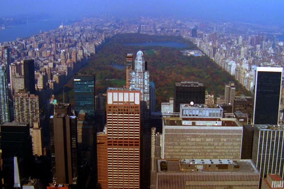 Central Park Looking North