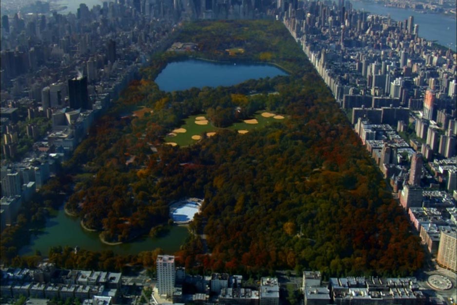 Central Park Looking South