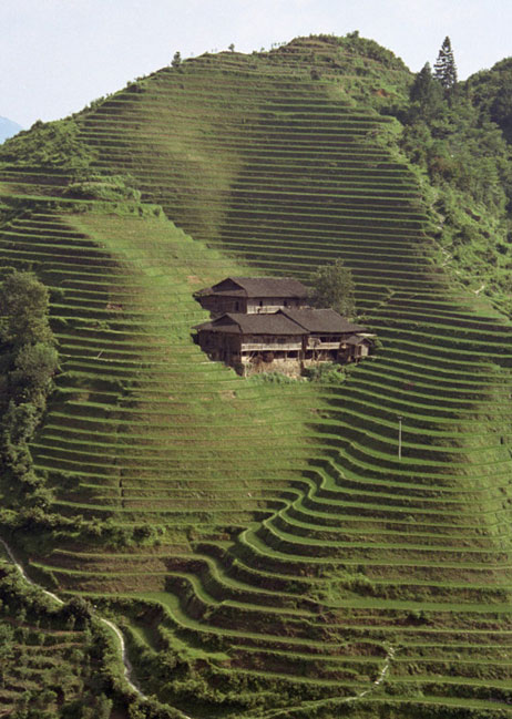 Longji Terrace