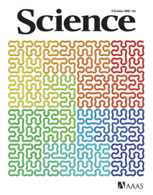 Cleverly Folded DNA