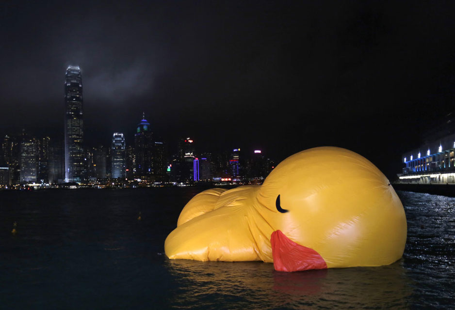 Dead Duck