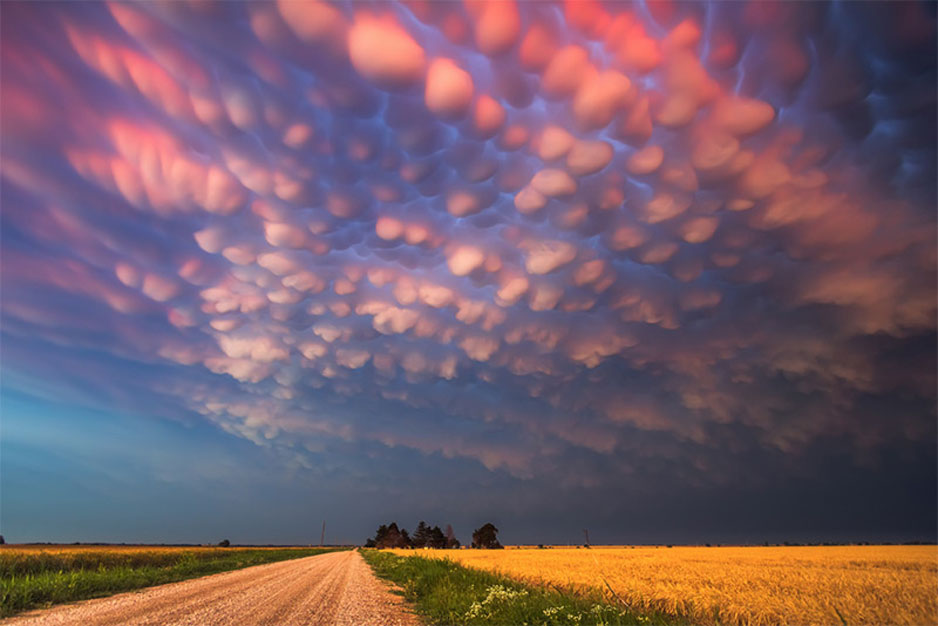 Mammatus Clouds