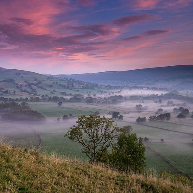 Pale Pink Sunset