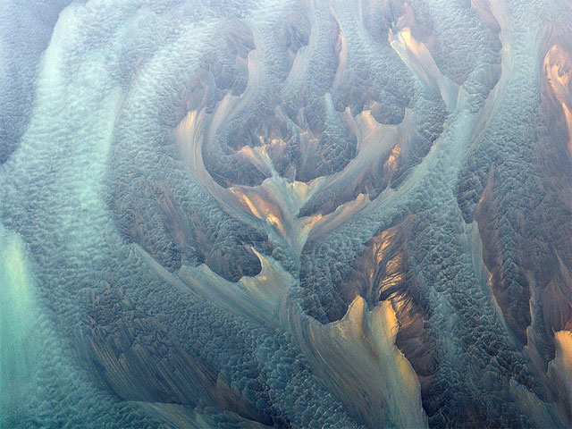 Flattened Artichoke, Iceland