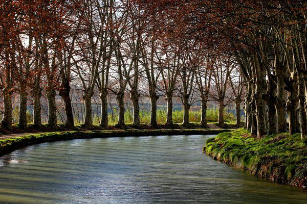 The Canal du Midi