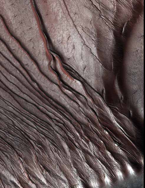 Frosty Dunes on Mars