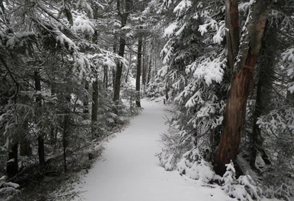 Adirondacks