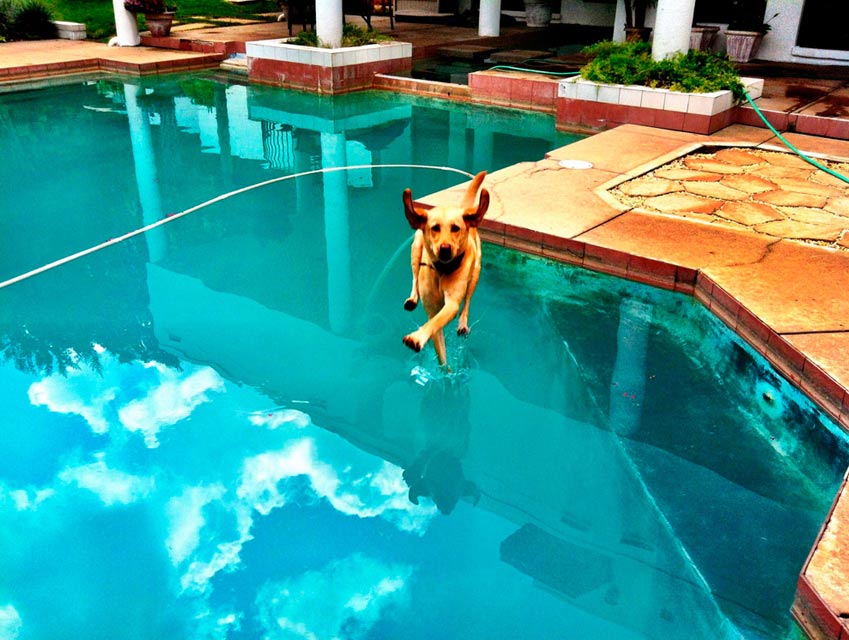 He Walks on Water