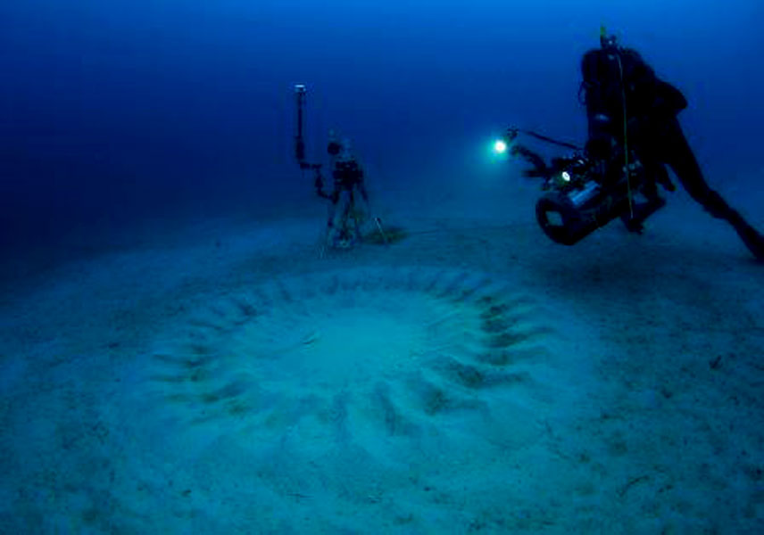 Crop Circles on the Seabed?