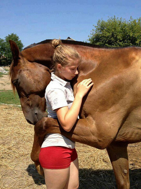 Horse Hugger