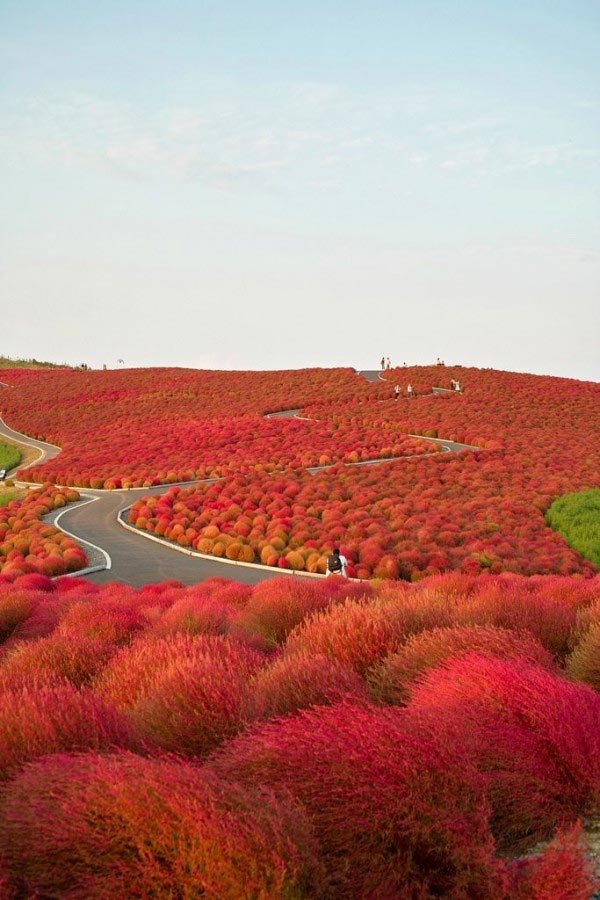 Hitachinaka City, Japan