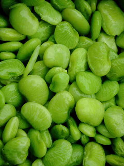 Lima Beans