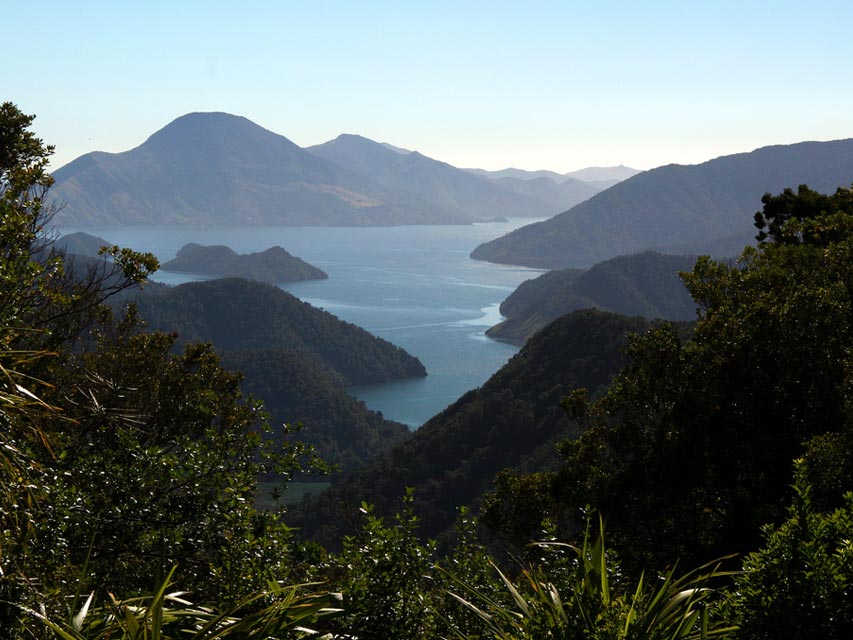 Marlborough Sounds