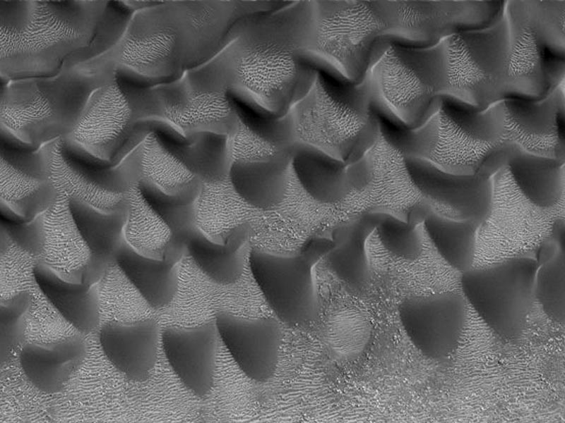 Mars' Exotic Dunes