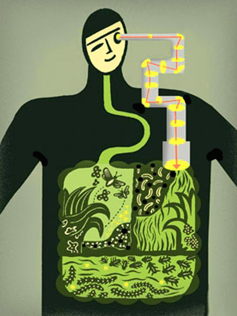 The Human Microbiome