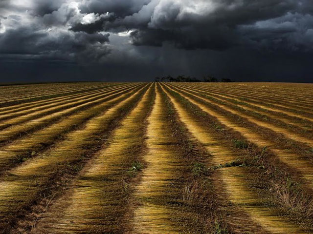 Moments Before the Rain