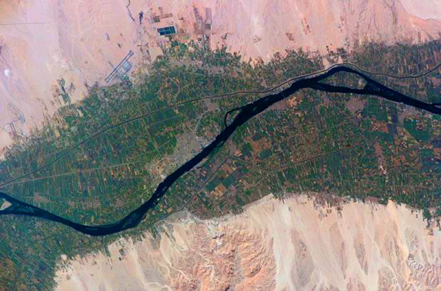 Agricultural Fields along the Nile