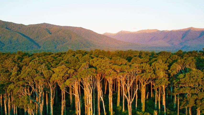 NZ's West Coast