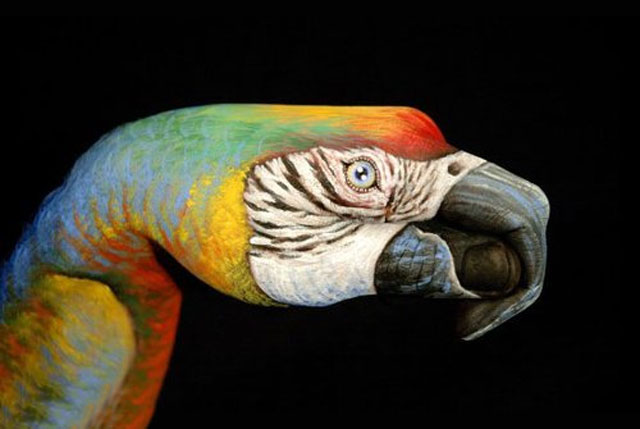 Parrot