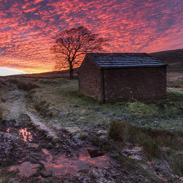Hot Pink Sunset