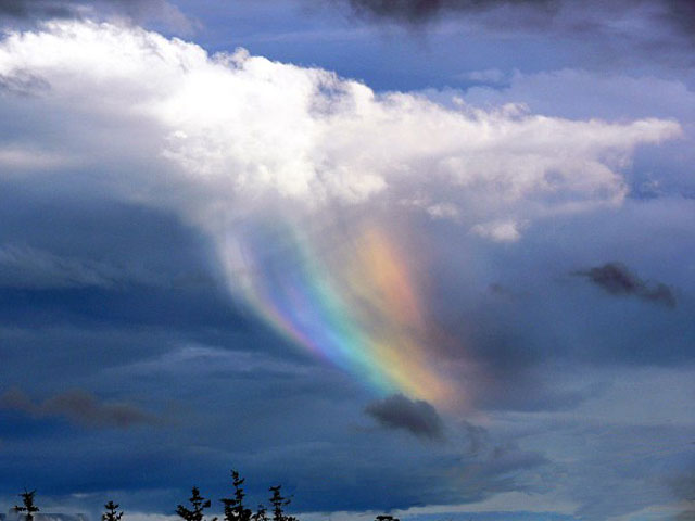 Raining Rainbows