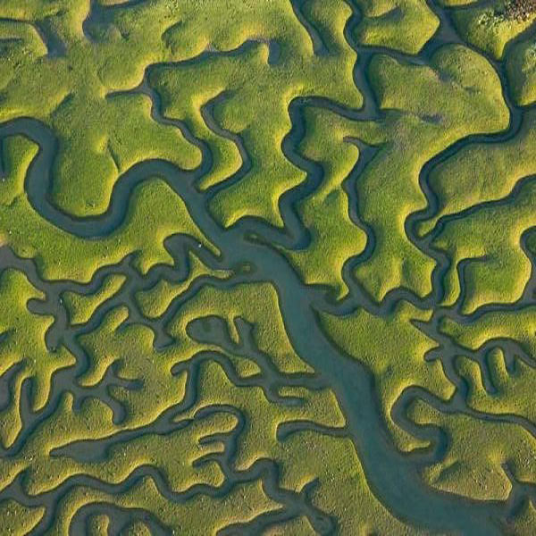 Spanish Wetlands