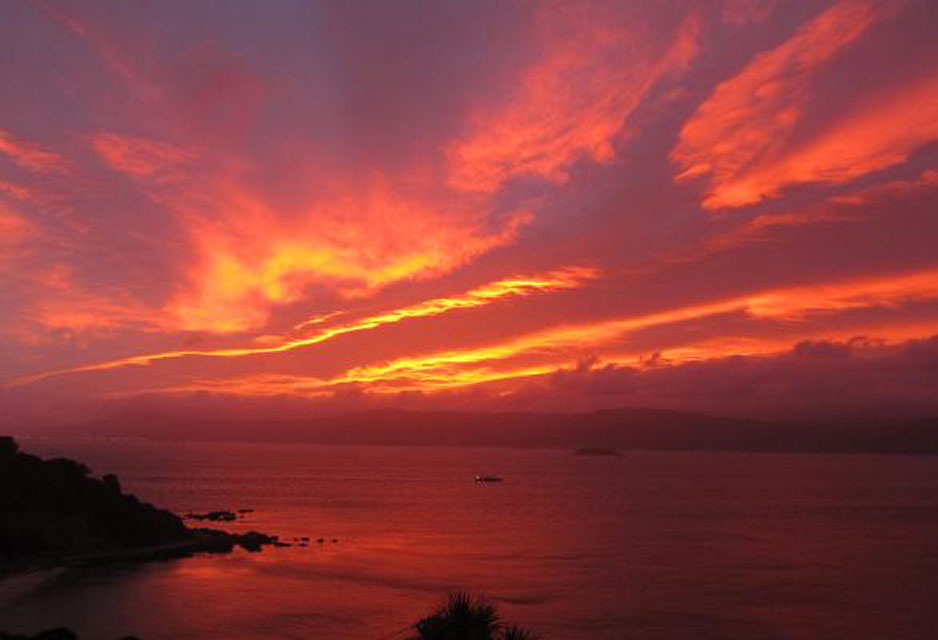 Wellington Harbour at Daybreak