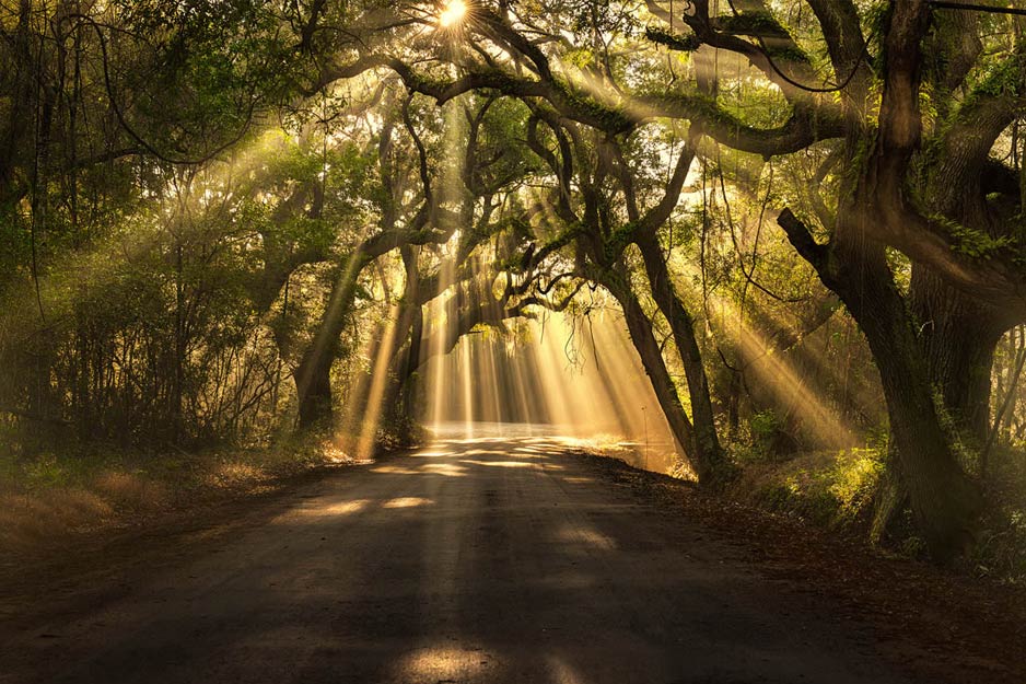 Sun's Rays at Noon