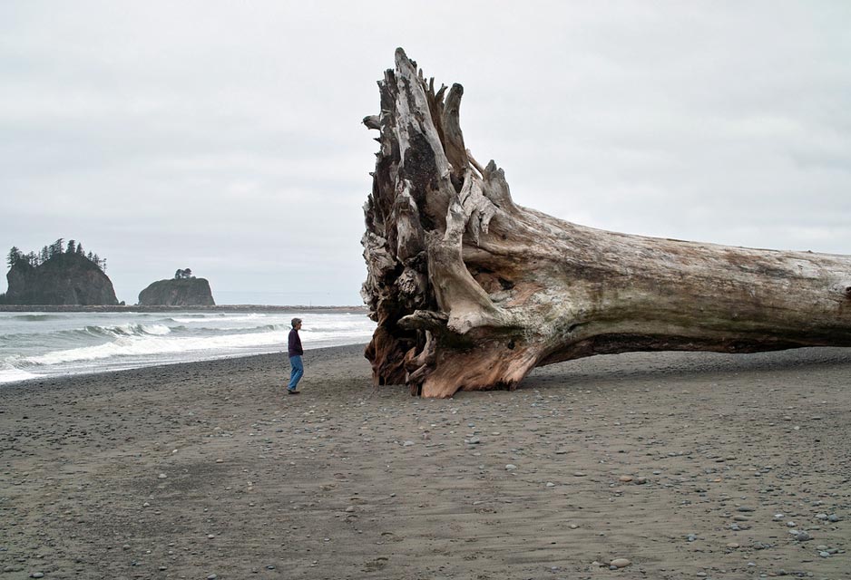 La Push, Washington