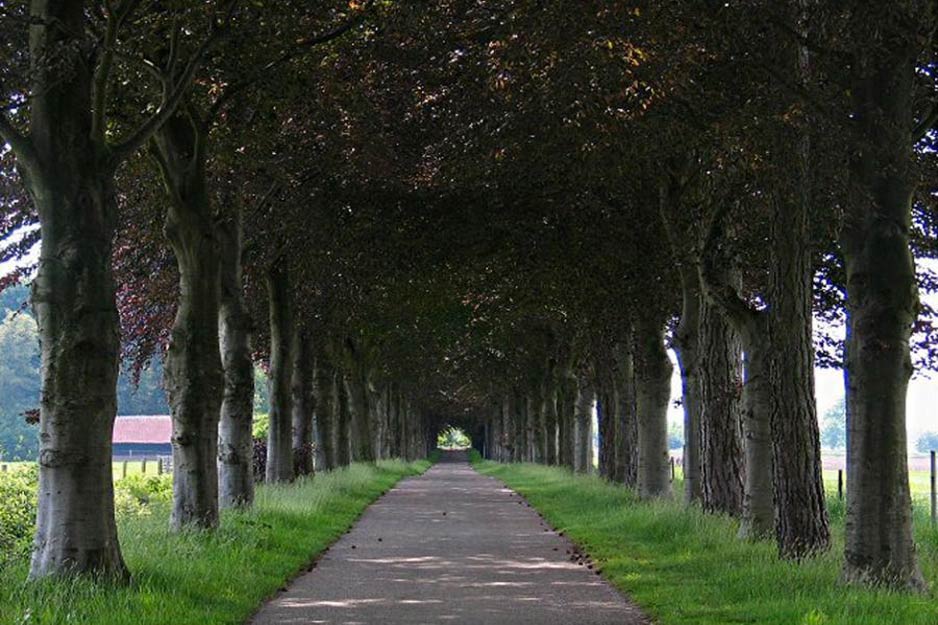 The Tunnel