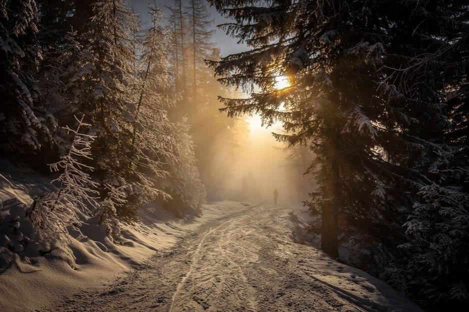 Into the Austrian Light