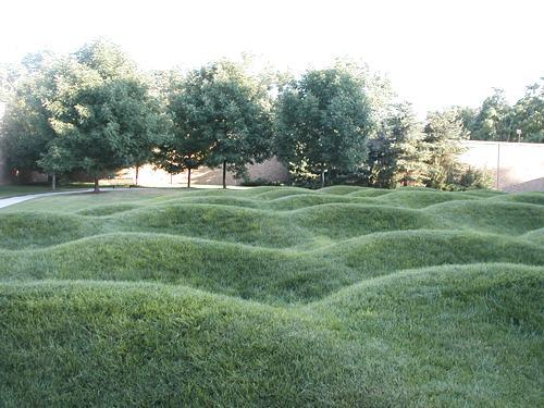 Field of Waves