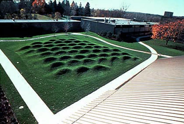 Rows of Comfy Seats