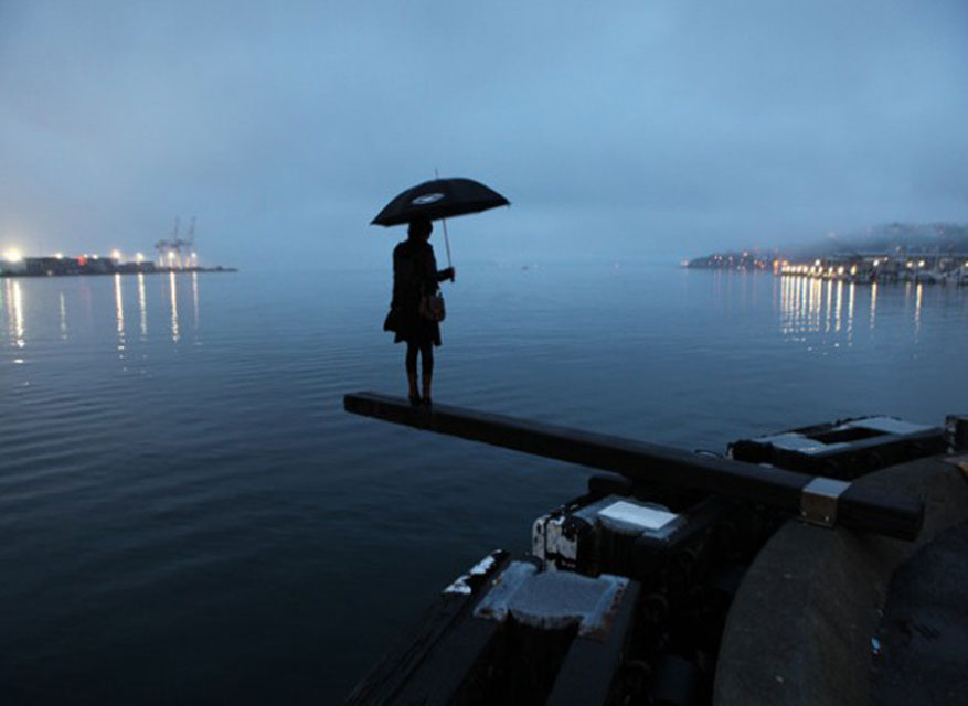 Wellington Harbour