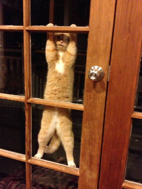 Who's That Knocking at My Door?